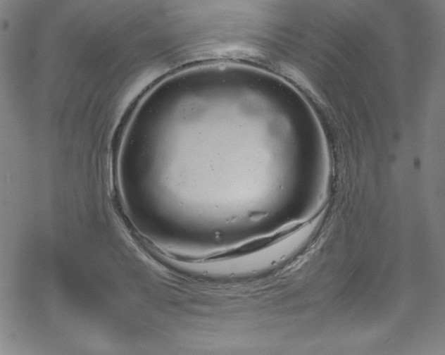 X0000070191079200606021051