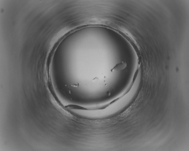 X0000070191080200606021051