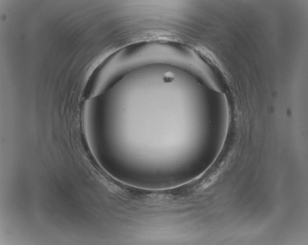 X0000070191081200606021051