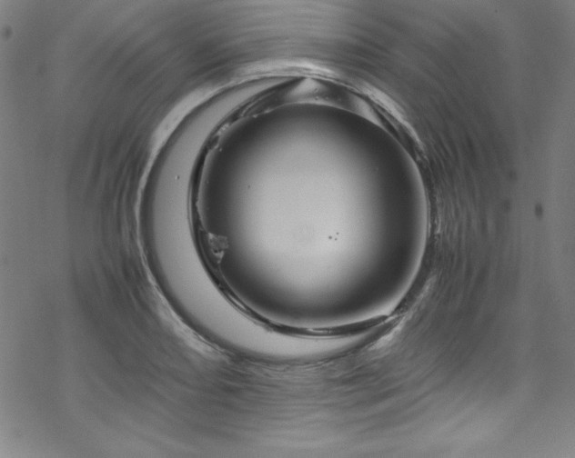 X0000070191082200606021051