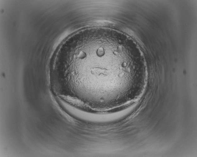 X0000070191083200606021051