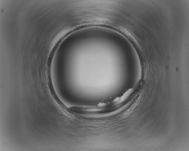 X0000070191085200606021051