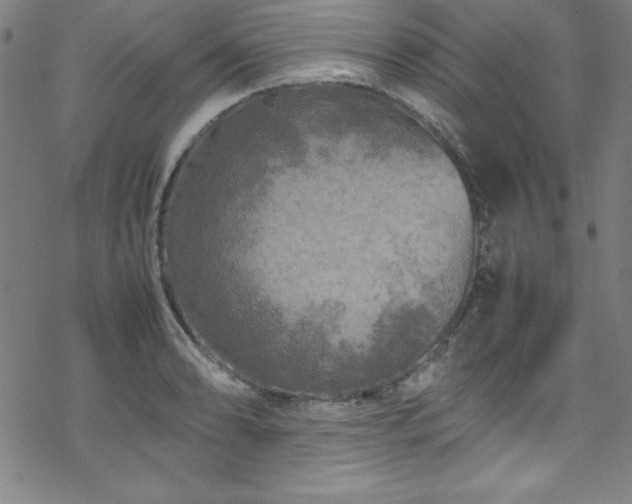 X0000070191086200606021051