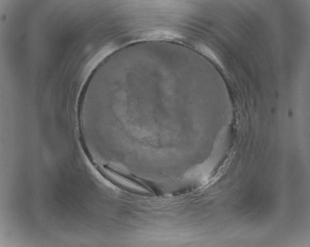 X0000070191087200606021051