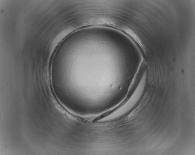 X0000070191088200606021051