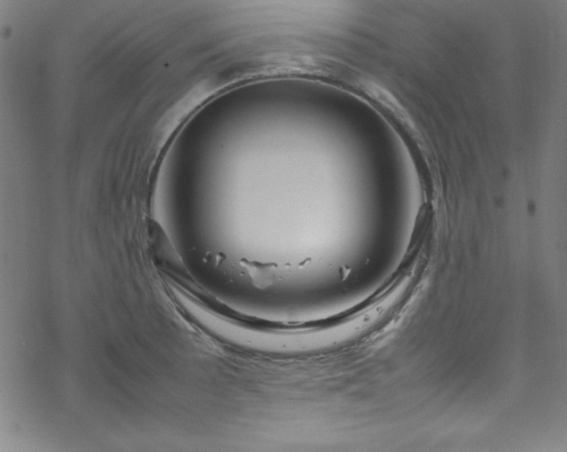 X0000070191089200606021051