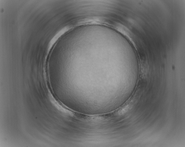 X0000070191090200606021051