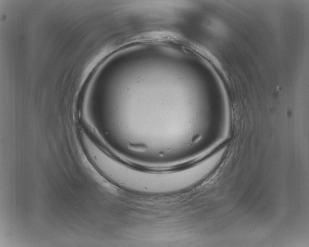 X0000070191091200606021051