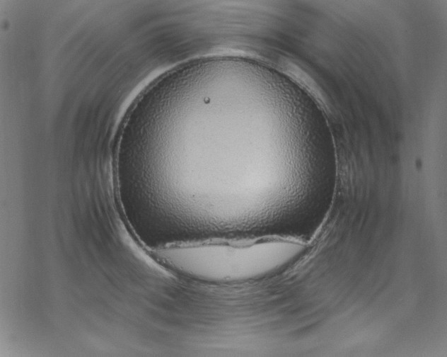 X0000070191092200606021051