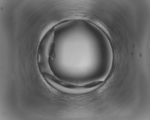 X0000070191093200606021051