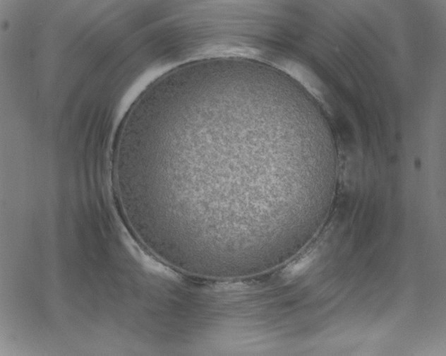 X0000070191094200606021051