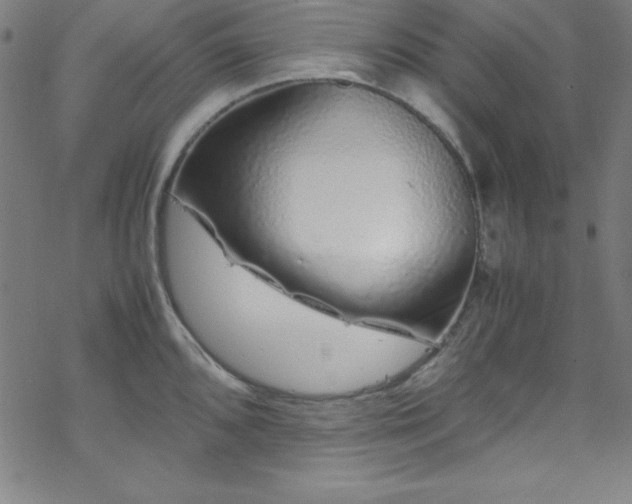 X0000070191096200606021051