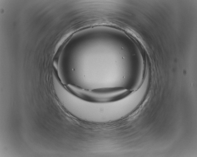 X0000070191097200606021051