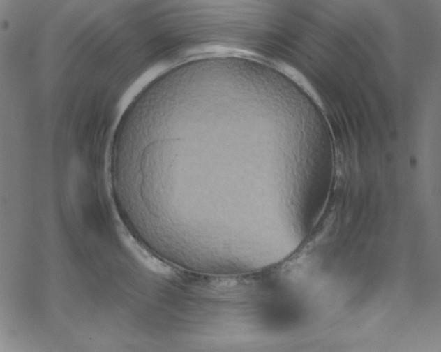 X0000070191098200606021051