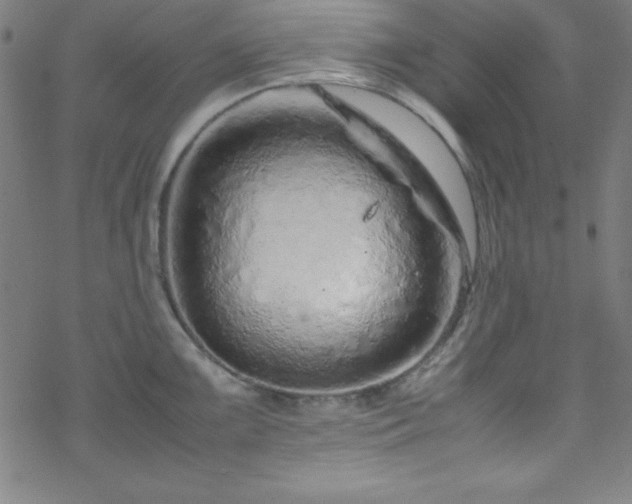 X0000070191099200606021051