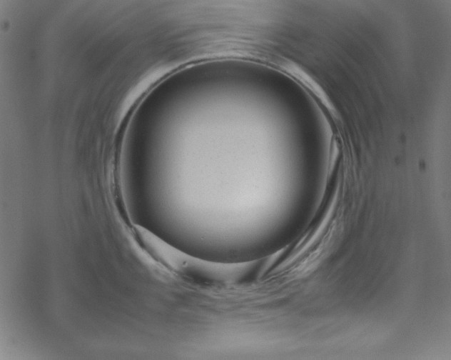 X0000070191101200606021051