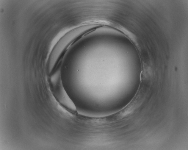 X0000070191102200606021051