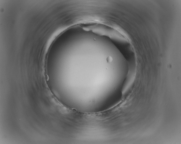 X0000070191104200606021051