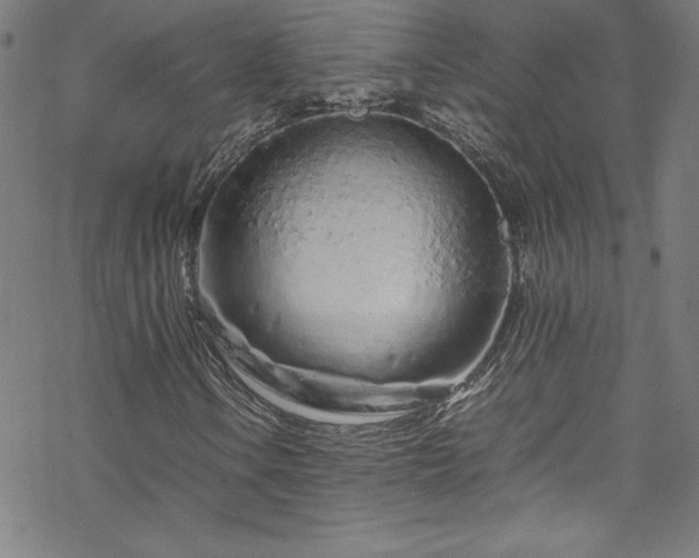 X0000070191106200606021050