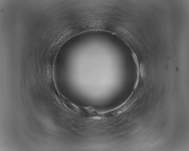 X0000070191107200606021050