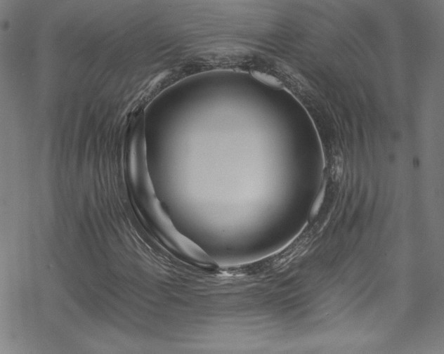 X0000070191108200606021050