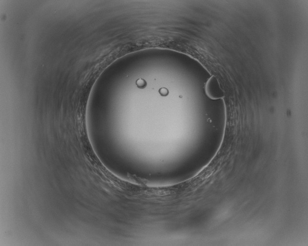 X0000070191109200606021050