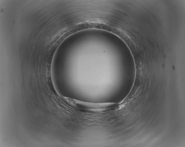 X0000070191110200606021050