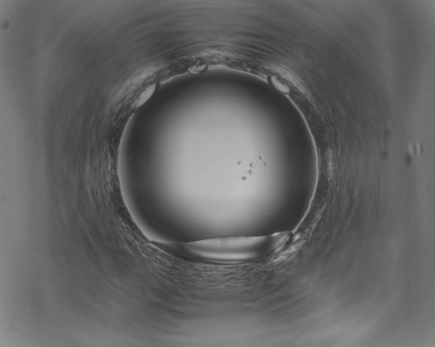 X0000070191111200606021050