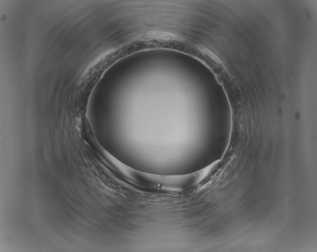 X0000070191112200606021050