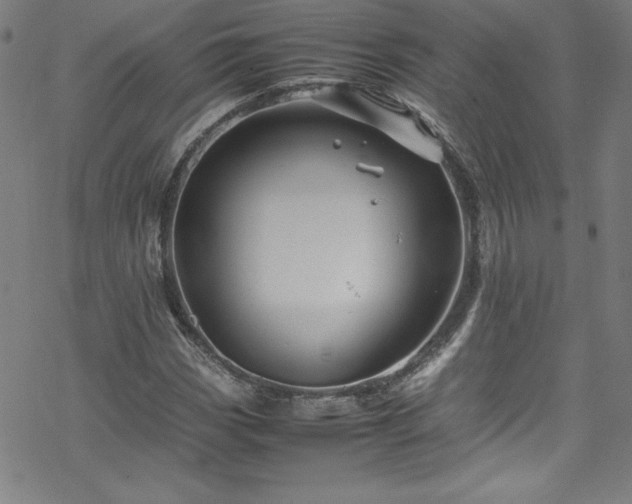 X0000070191113200606021050