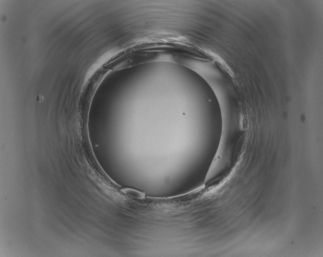 X0000070191114200606021050