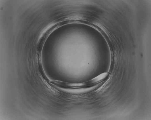 X0000070191115200606021050