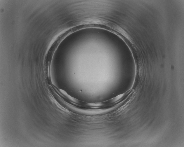 X0000070191116200606021050