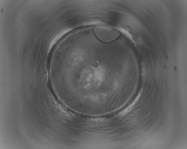 X0000070191117200606021050