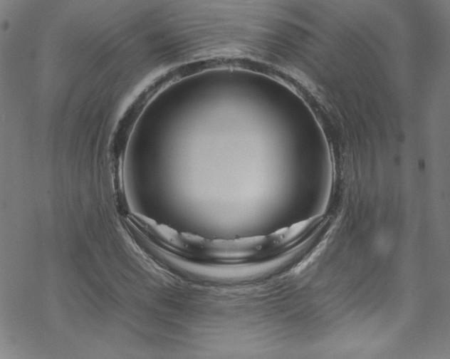 X0000070191118200606021050