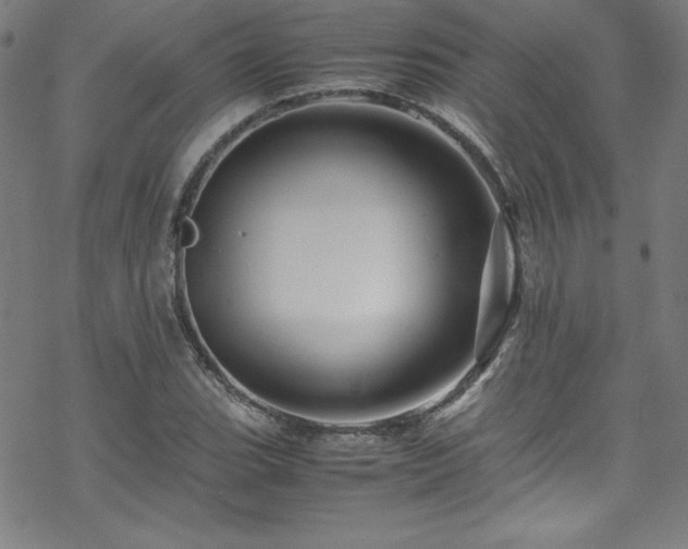 X0000070191119200606021050