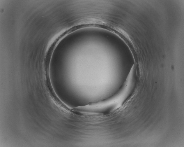 X0000070191120200606021050