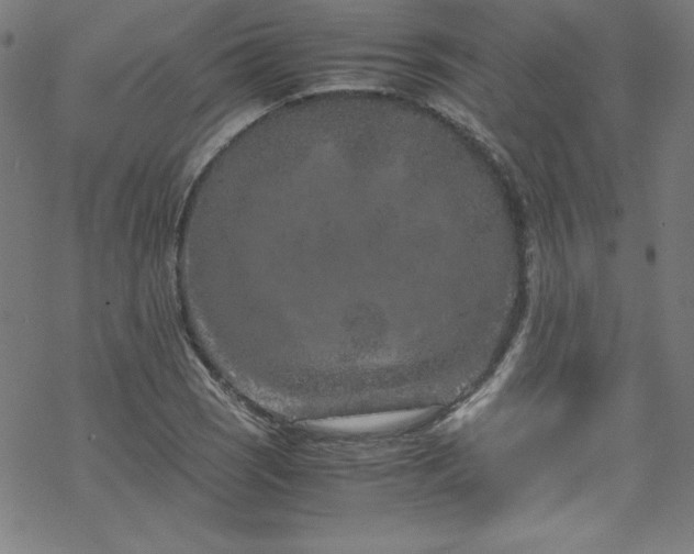 X0000070191121200606021050