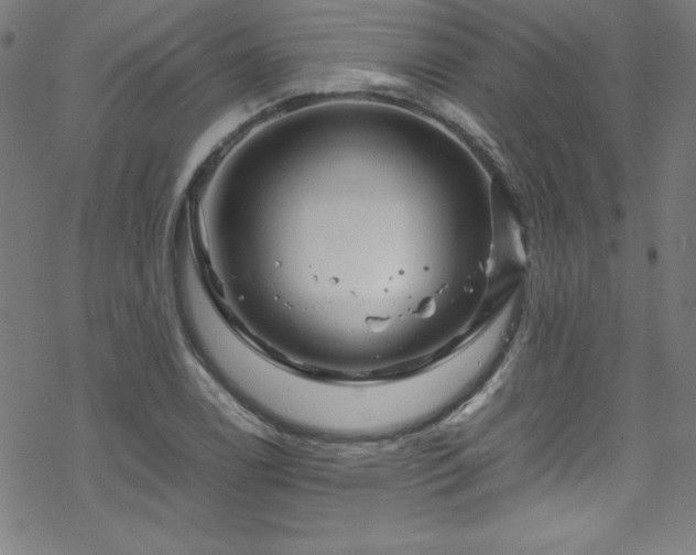 X0000070191122200606021050