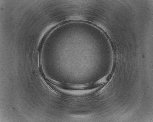 X0000070191123200606021050