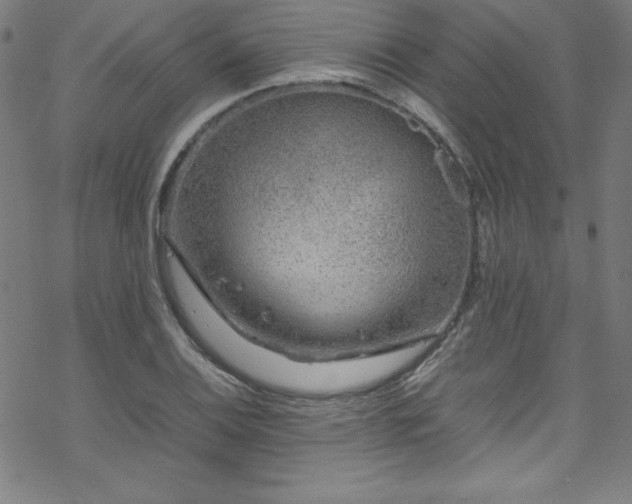 X0000070191124200606021050