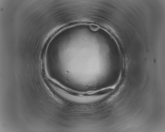 X0000070191125200606021050