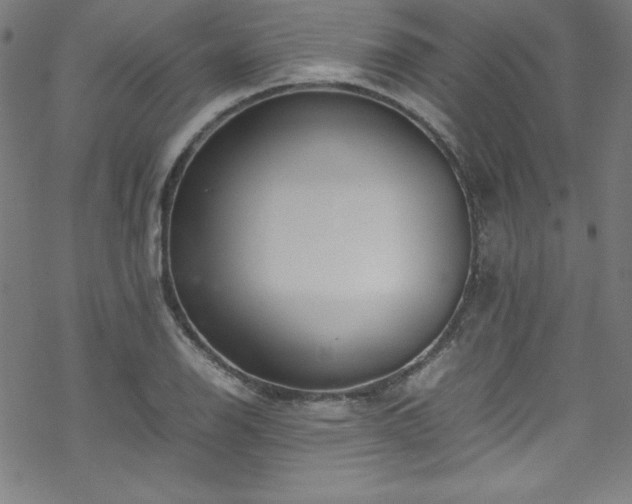 X0000070191126200606021050