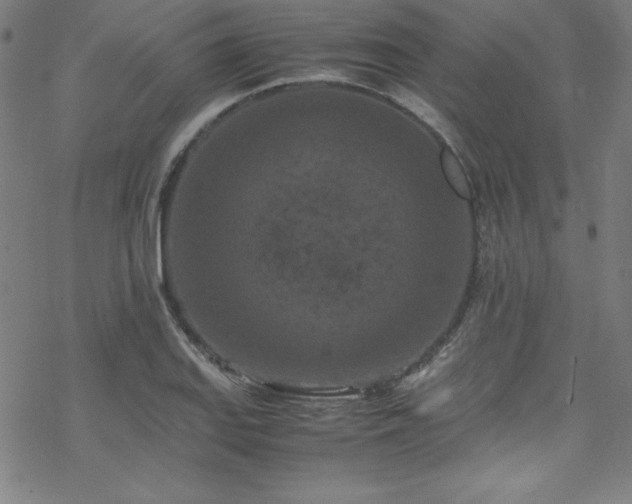 X0000070191127200606021050