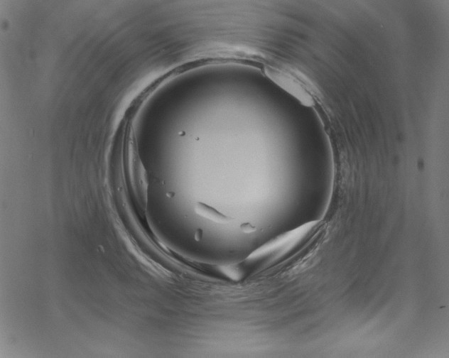 X0000070191128200606021050