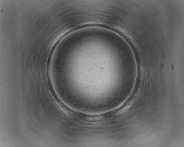 X0000070191129200606021050