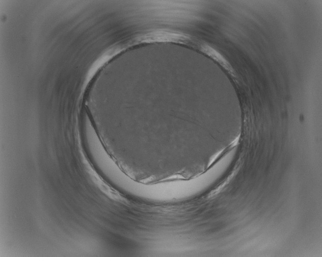 X0000070191130200606021050