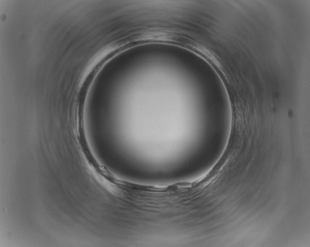 X0000070191131200606021050