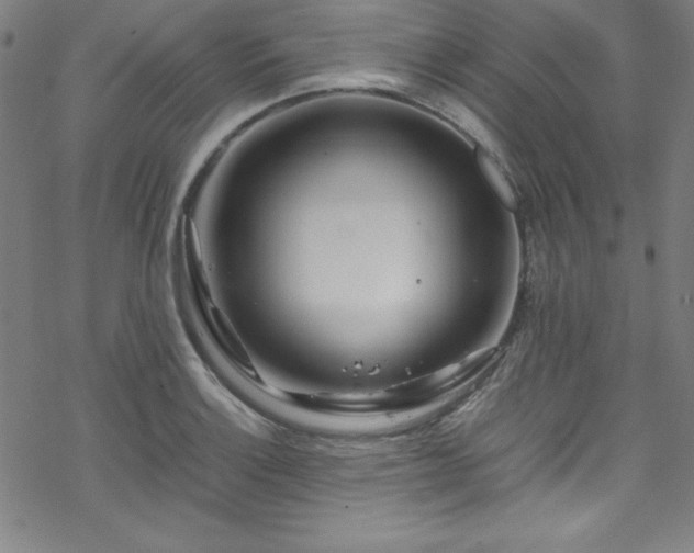 X0000070191132200606021051