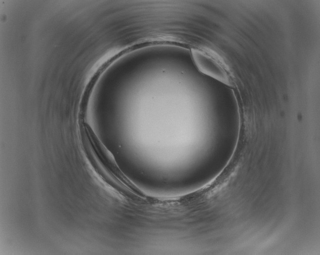 X0000070191133200606021051